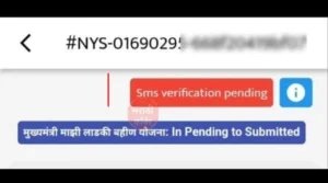 Majha Ladki Bahin Yojana Status in Pending