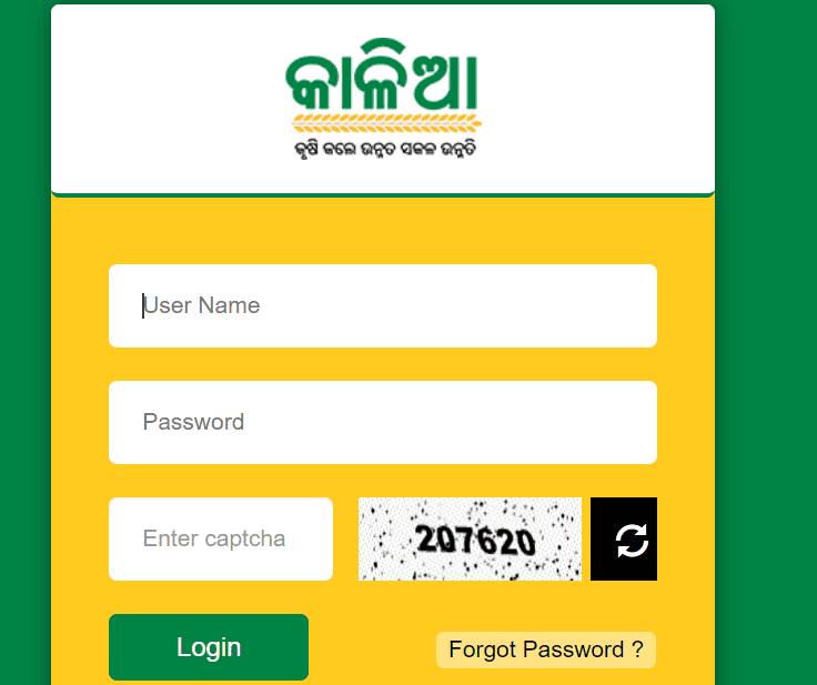 User Login Form