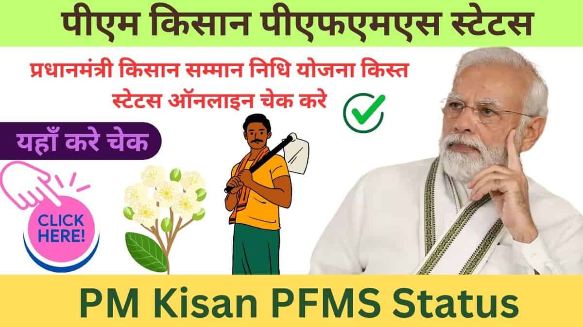 PM Kisan PFMS Status