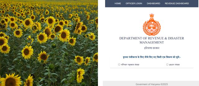 E Kshatipurti Portal Haryana website